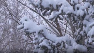 内蒙古通辽市出现大范围降雪