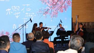 樱花树下的音乐会，上海市民和古典音乐浪漫相遇