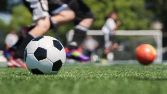 足球运动今年被纳入本科专业目录，探寻人才培养新路径