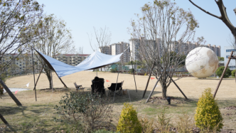 上海半马苏河公园停车与露营问题引关注，如今有了哪些新变化？