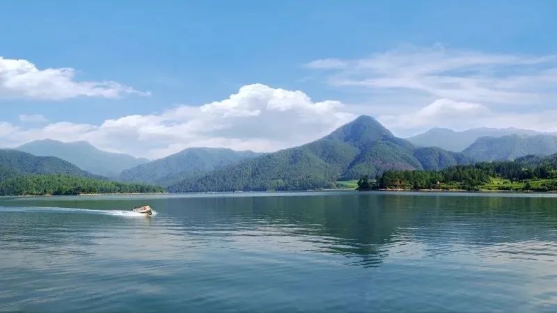 福建清流县委书记:干一件成一件,以实干担当谋发展_澎湃福建_澎湃新闻