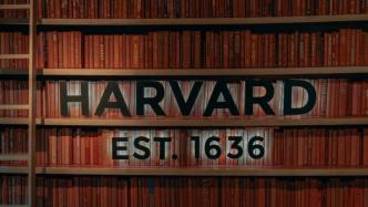 哈佛毕业回国考公，是大材小用还是人尽其才？