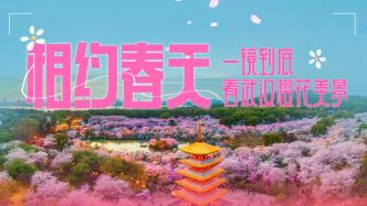 相约春天，一镜到底看武汉樱花美景