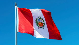 秘鲁总理表示搜查总统私人住所“过分且违宪”