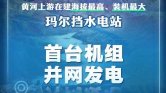 黄河上游玛尔挡水电站首台机组今日正式并网发电