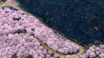 上春山丨山火过后，贵州正在被春天治愈