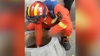 6岁娃坠8米水井，消防员下井救回