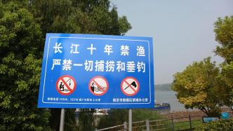 农业农村部：长江非法捕捞高发频发态势得到有效遏制