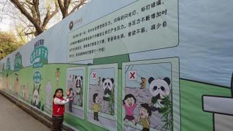 北京动物园规范直播熊猫行为，主播登记备案并规范讲述内容