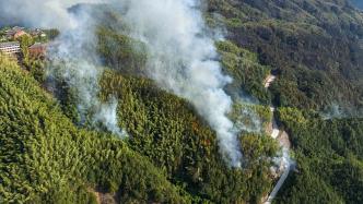 贵州警方通报6起森林火灾典型案例：多人因祭祀引发火灾被抓