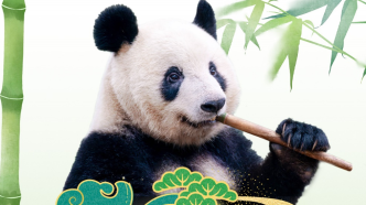 重逢：大熊猫“香香”云连线暨粉丝分享会将于明日在中日两国举行