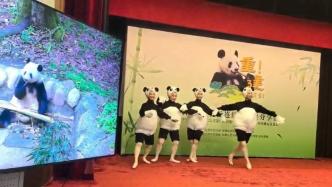 “香香”和粉丝云见面，日本舞者跳起“熊猫芭蕾”