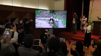 日本东京都副知事：每只大熊猫都受到广大日本民众的喜爱