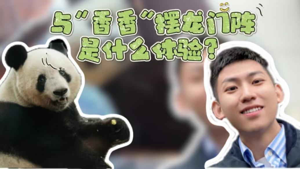与大熊猫“香香”摆龙门阵是什么体验？