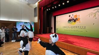 “香香，好想你，一定去见你”，日本香粉云连线现场跳起“熊猫芭蕾”