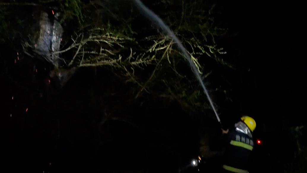 贵州一棵八百岁银杏遭雷击起火：高达25米左右，消防员扑灭