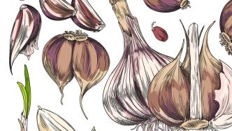 作物的故事丨辛辣之神：中国古代大蒜的栽培与利用