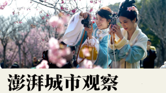 中国赏花目的地：花卉文旅不要“困在春天里”