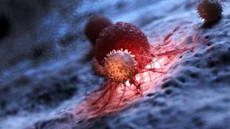 复旦团队Cell刊文：全新靶点CD3L1抗体将助力肿瘤治疗
