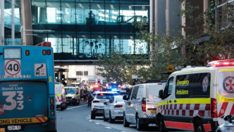 悉尼一购物中心持刀行凶事件已致6死：一嫌犯被击毙一人在逃