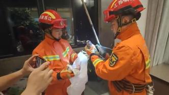 “不明动物”落22楼阳台居民报警，消防救出红隼交林业人员