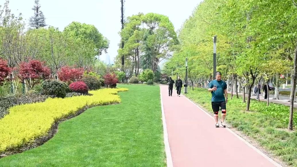 上海世紀公園打開3千多米的圍墻，5月1日起正式24小時開放