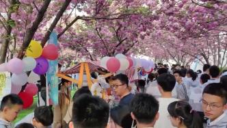 中学举办校园樱花市集活动：锻炼学生的实践和沟通能力