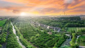 林长制“入法”，新修订的《上海市森林管理规定》5月1日起施行