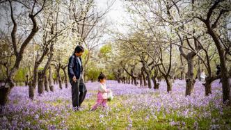 如何落實公園24小時開放？專家：需因地制宜規劃開放范圍