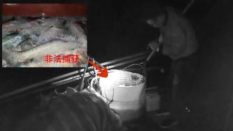 禁渔期进淀山湖非法捕捞渔获800余斤，7人被上海警方抓获