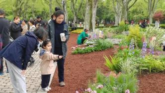 人在画中！上海中山公园这处500多平方米的花园全新亮相