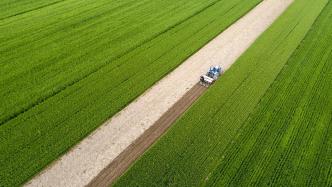 农业农村部：截至4月18日，全国已春播粮食作物面积1.9亿亩
