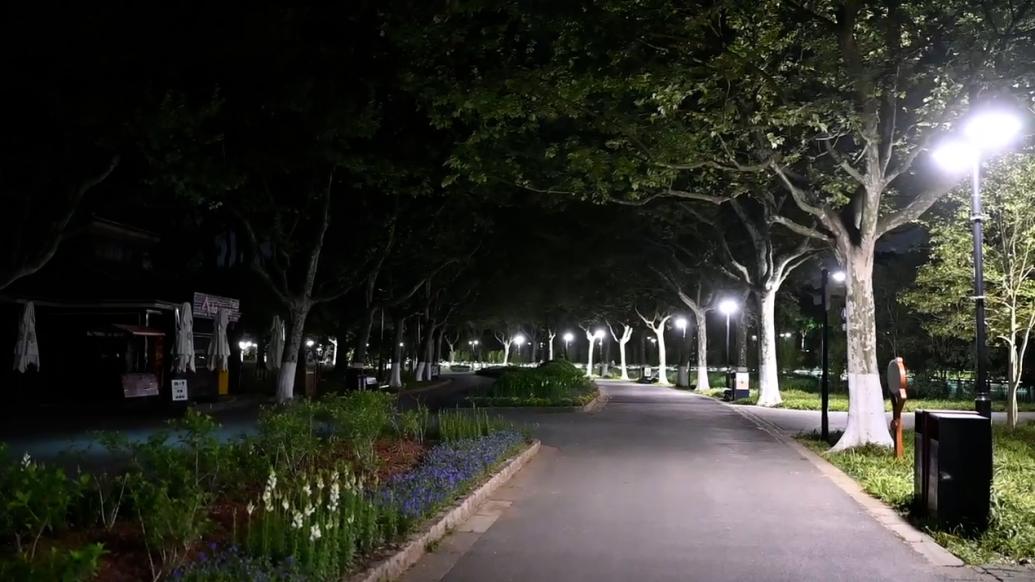 上海世纪公园24小时开放首晚，市民感受如何？