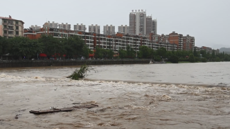 多处内涝！强降雨导致桃江河水倒灌江西全南县城