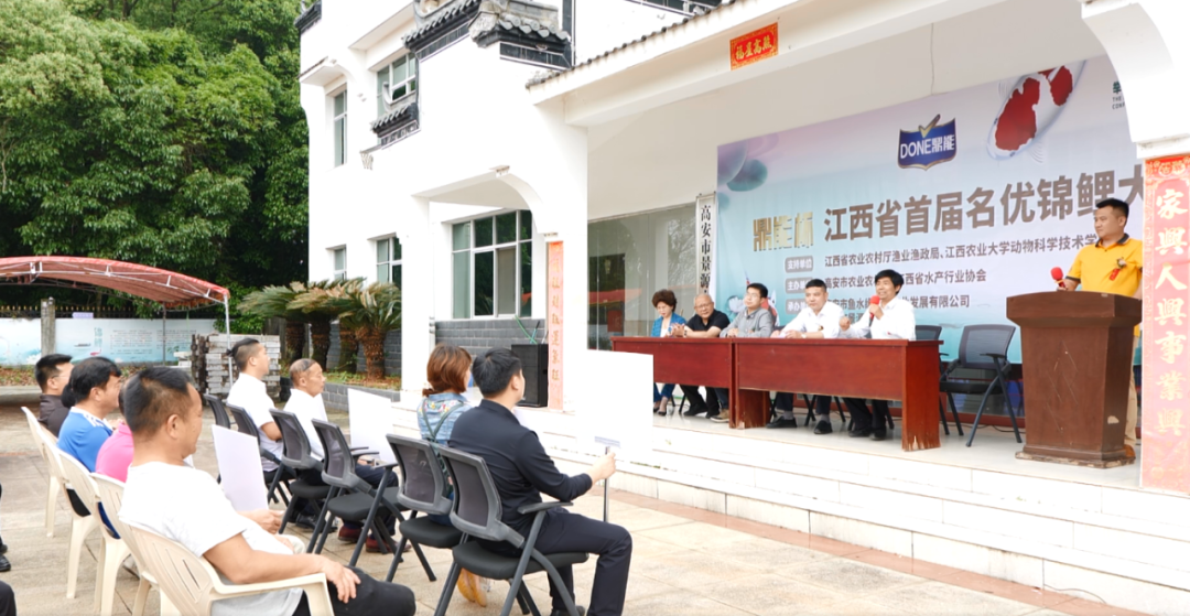 江西省首届名优锦鲤大赛在高安举办,百条锦鲤同台"比美"
