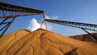 吉林省长：今年吉林粮食总产量预计可实现880亿斤