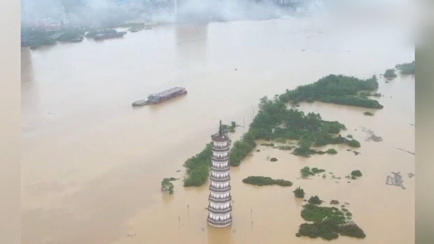 航拍广东清远文峰塔孤悬江中，珠江北江流域将现接近百年一遇洪水
