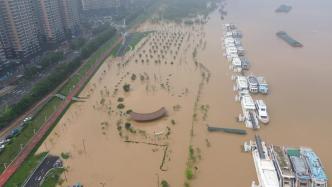 广东北江发生特大洪水：水库群有序调度拦洪，避免潖江蓄滞洪区启用