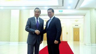 柬埔寨首相洪玛奈会见王毅