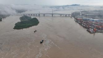 专家称九江大桥处于安全状态：主墩和其他主要构件状况较良好
