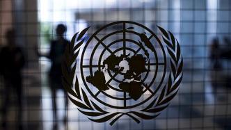 独立审查小组：以色列未证明联合国工作人员与恐怖组织有牵连