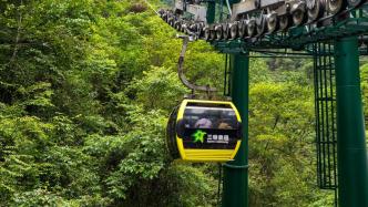 三特索道：去年归母净利润达到近10年最高水平，贵州梵净山项目接待游客最多