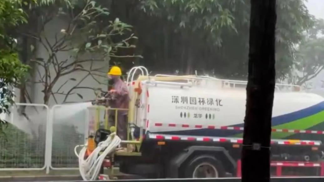 雨天给绿植浇水引质疑，深圳龙华城管回应高架桥遮挡需人工浇水