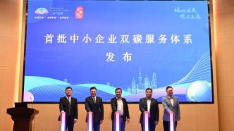 上海浦东为中小企业提供双碳服务体系，帮助减少碳排放