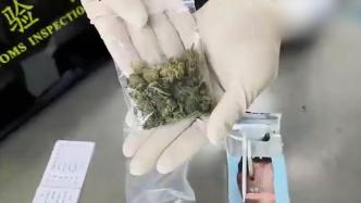 男子裆部藏5克大麻入境被查