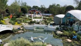 “公园城市、美好人居”，2024年成都世界园艺博览会开幕