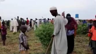 面临最大规模饥饿危机！联合国官员：苏丹约40%人口面临严重粮食不安全状况