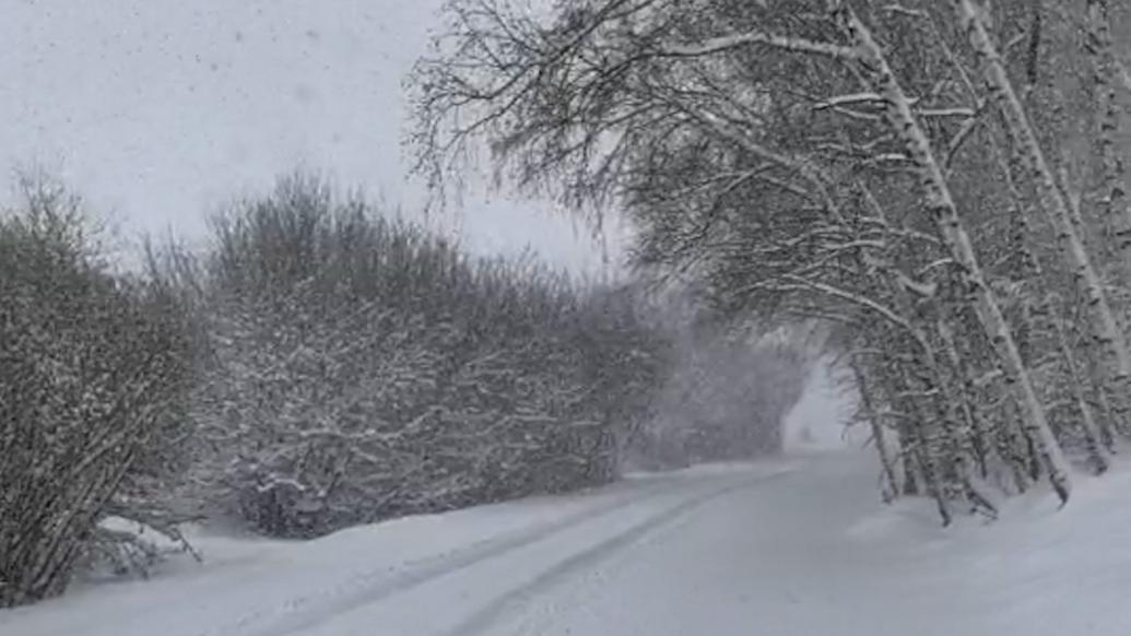 内蒙古多地降雪，部分地区降雪量超过30毫米