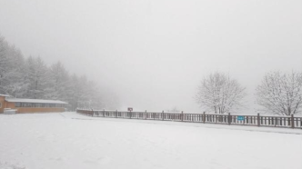 直播丨四月飛雪！立夏前一周河北多地“一夜返冬”