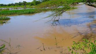 肯尼亚一座大坝决堤已致至少42人死亡，另有数十人失踪